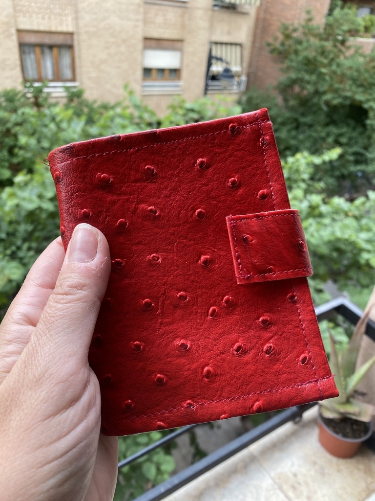 Carpeta mini tratados súper completa · foto